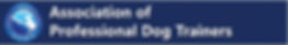 APDT logo.jpeg