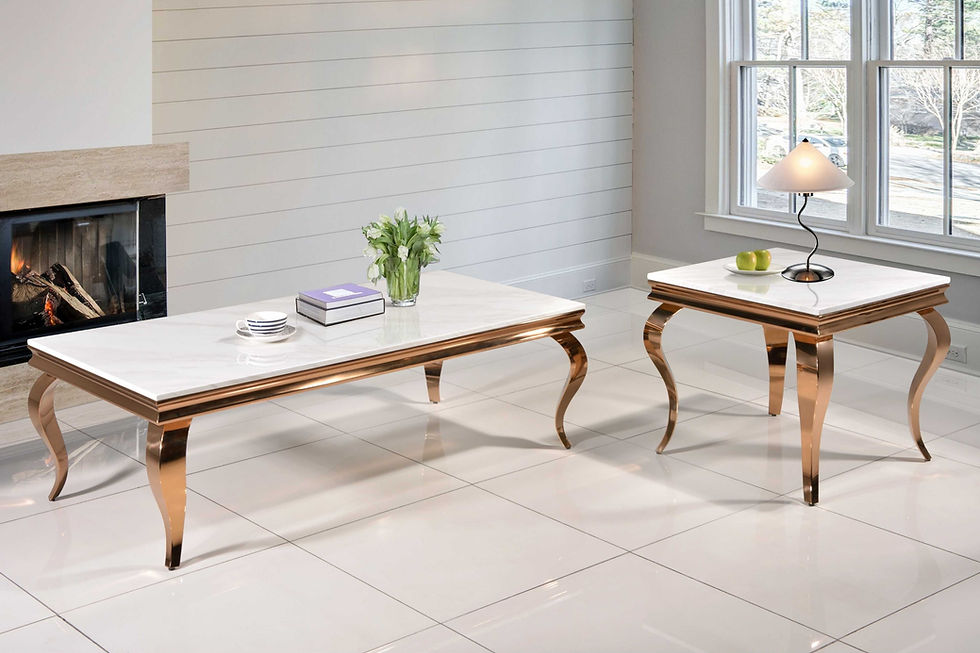 B37 Marble Coffee Table Set