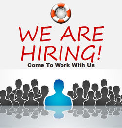 we are hiring (2).jpg