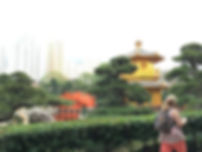 IMG_3169.jpeg