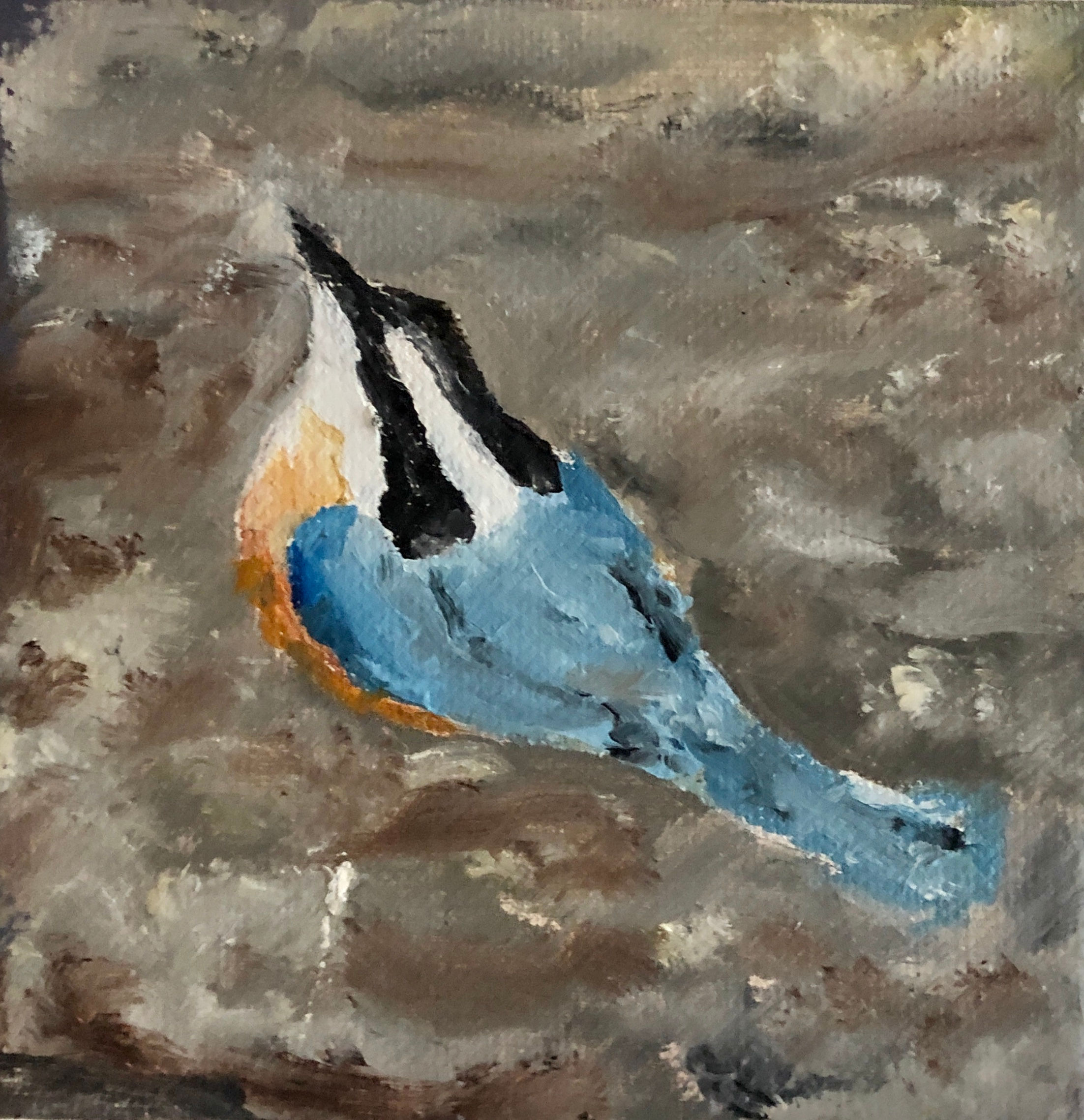 Blue Bird 27