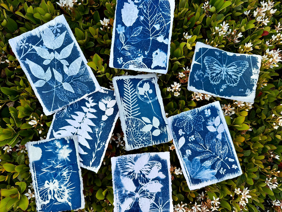 Cyanotypes – Print with the Sun