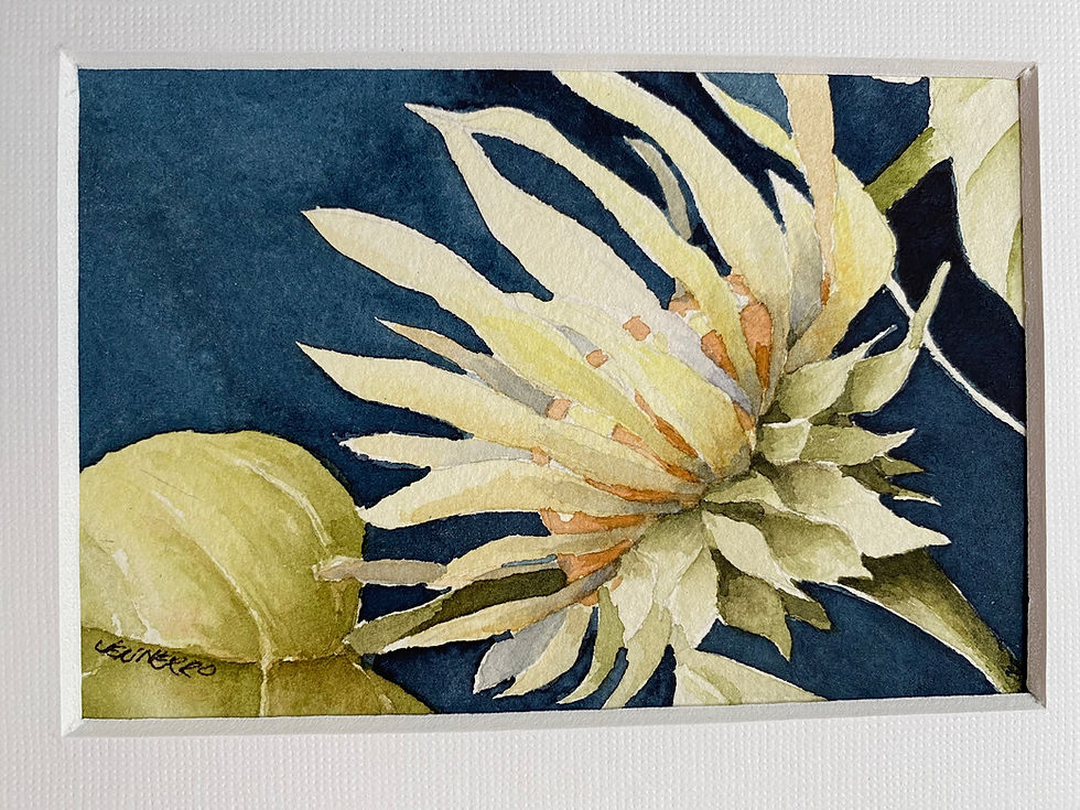 Flower Against Navy Background