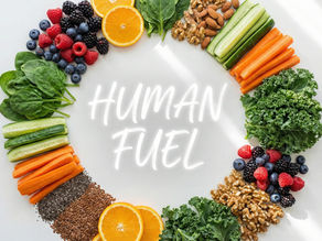 A colorful arrangement of fresh vegetables and fruits surrounding the words "Human Fuel."