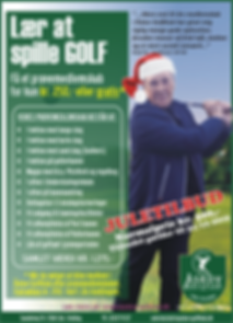 hvervekampagne Birgit Jul 2019.PNG