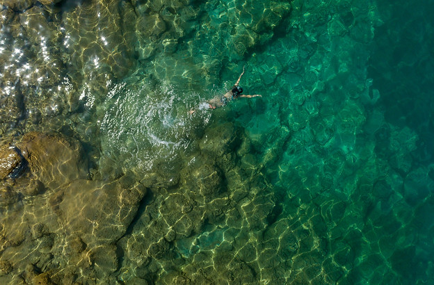 Swimming in blue waters