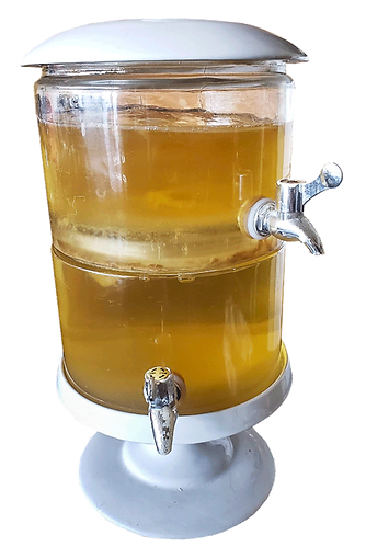 Photo showing a set of containers brewing two different kombuchas with uric acid treating capacities.