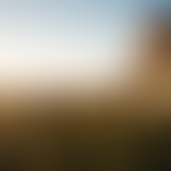 在陽光明媚的鄉村,兩個人在木製柵欄附近。左邊的人穿著米色的連帽上衣和深色褲子,背對觀眾站立,望向遠處連綿起伏的山丘。右邊的人穿著白色T恤和藍色吊帶褲,正坐在右邊一座淺色木屋的門廊臺階上,背靠著柱子。兩人的影子都投射在他們前面的綠色草地上。陽光從地平線升起,照亮了天空和周圍的景色,營造出一種寧靜的氛圍。