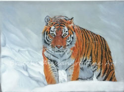Tigre Siberiana