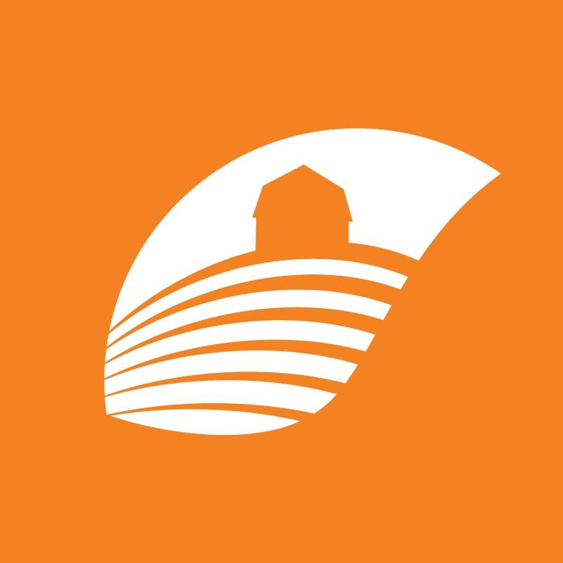 Writer: Procurement Team