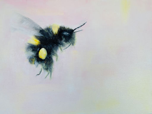 Sonia McMullen