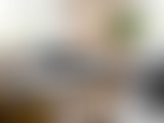 The Guest-Ready Living Room