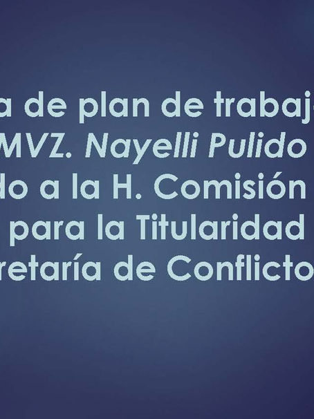 Propuesta de plan de trabajo de la P.ENROC. MVZ. Nayelli Pulido MartÃnez.