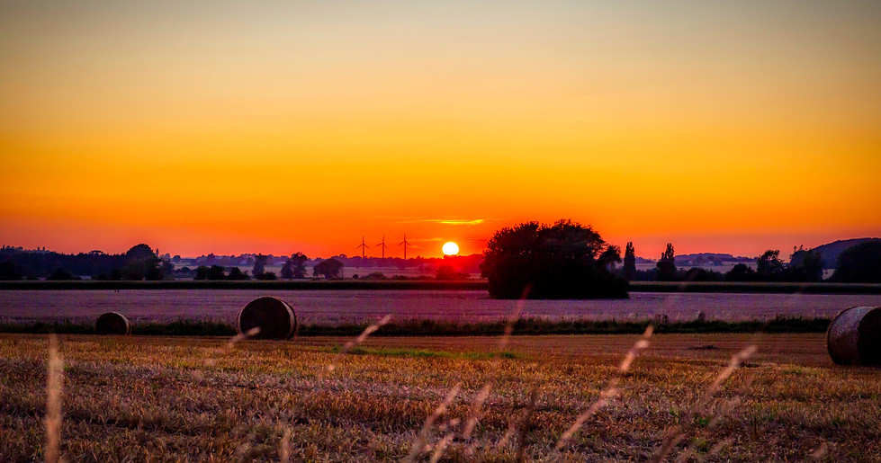 IMG_4153hdr.jpg