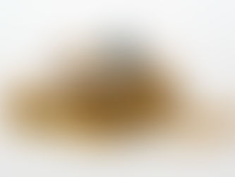 Banken tjänar alltid pengar - äg aktier i bankerna 