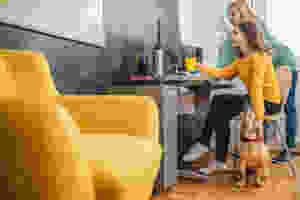 Der Artikel heißt: Flexibilität macht loyal. Das Bild zeigt zwei Kolleginnen die einen Hund am Arbeitsplatz halten.