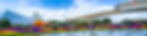 disney authorized travel agent