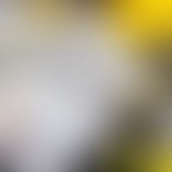 Comparing Roofing, Siding and Gutter Contractors 