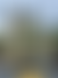 Budapest - Rooftop bar overlooking St Stephen's Basilica