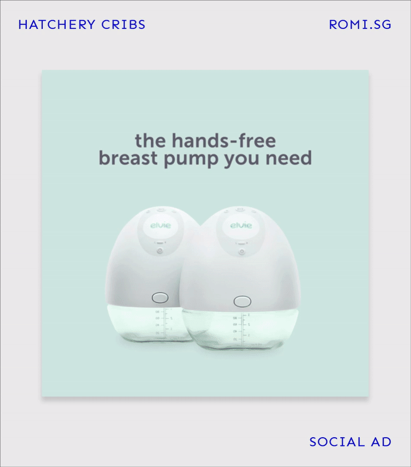 ROMI_Website_portfolio_hatchery.gif