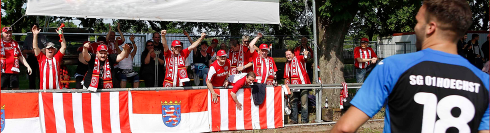 Fans_SG01Hoechst