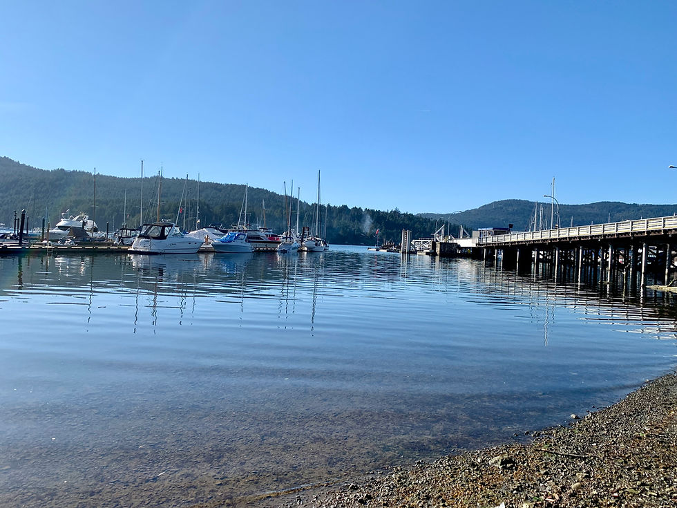 Calm coastal marina with boats and dock reflected in still blue water under a clear sky, early spring light on the shoreline.