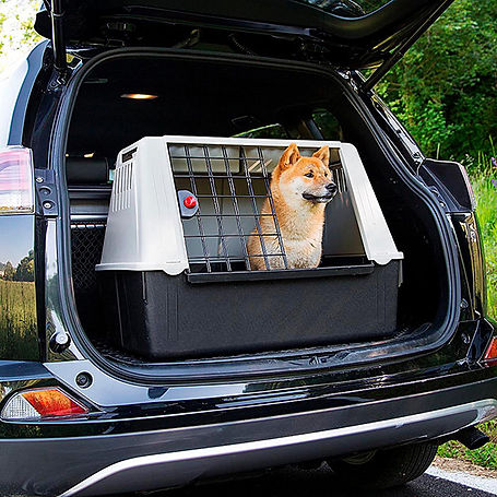 sevicio puerta a puerta de transporte para mascotas.jpg