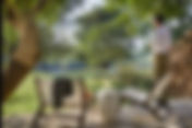 Sabi Sands: South Africa’s Ultimate Luxury Safari Destination