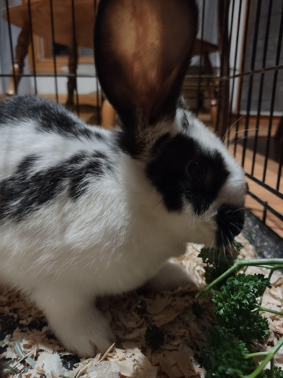 What all should you look into?