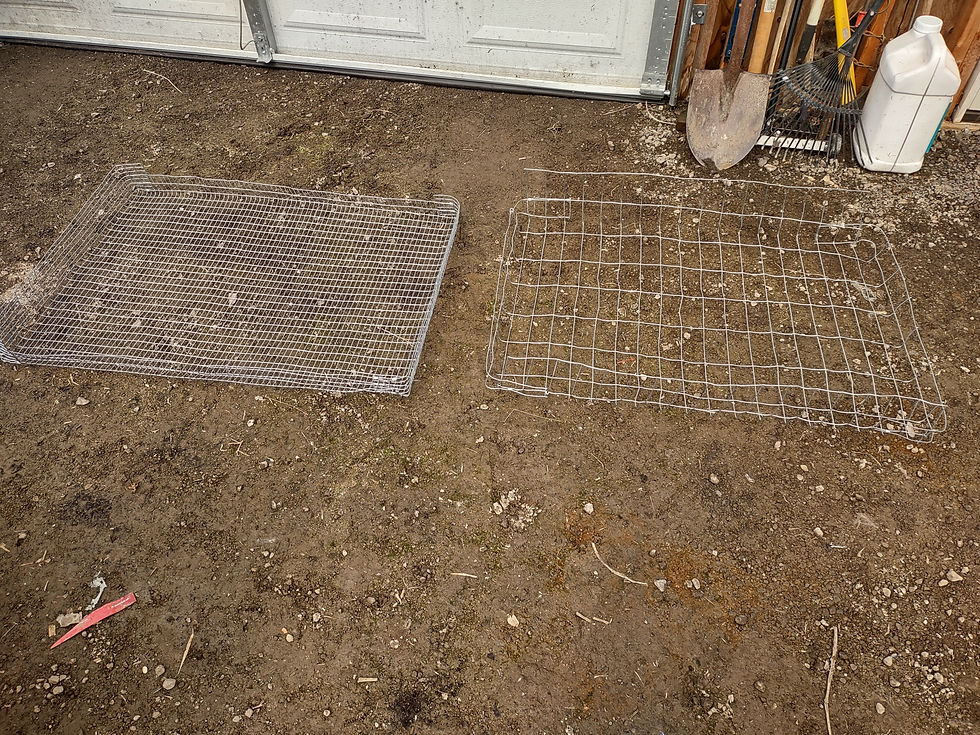 Two external cage bottoms. One with baby saver wire, the other with wire suitable for grazing on greens on the ground.