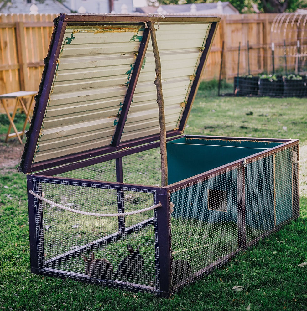 Rabbit tractor is house and yard section .