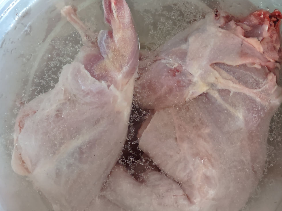 Adult rabbit in a salt water and spice brine.
