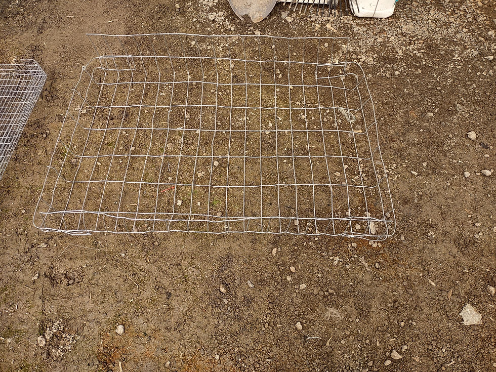 2"×4" spacing for a foraging crate bottom.