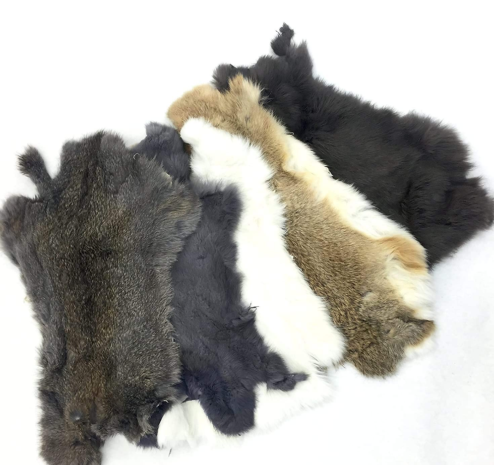 At what age do you process rabbits? How to skin a rabbit and how to process a rabbit.