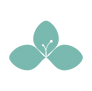 SAL Logo (40).png