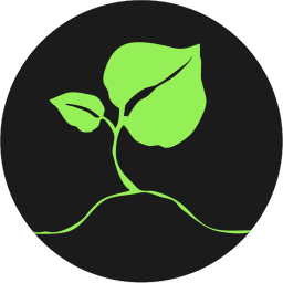 leaf-h.png
