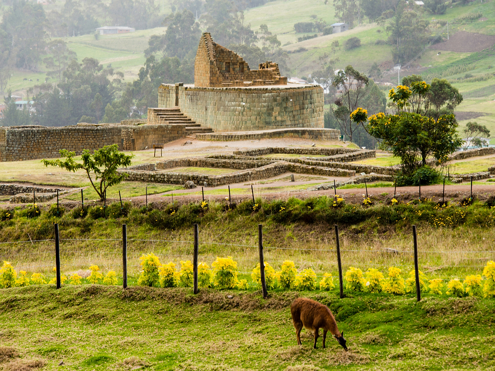 2D/1N Ruta del Austro II