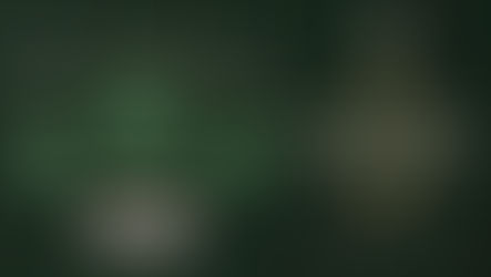 Martyrdom Anniversaries Program – Holy Prophet, Imam Hassan, & Imam Ali Al-Reza (PBUT)