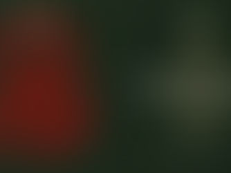 Martyrdom Anniversary of Imam Ali Al-Sajjad (AS).