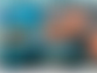 Word jij ons nieuwe redactielid bij de Interpres?