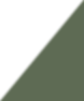 GRAPHIC_ELEMENT_2_GREEN_edited.png