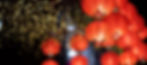 Main Banner - Desktop.jpg