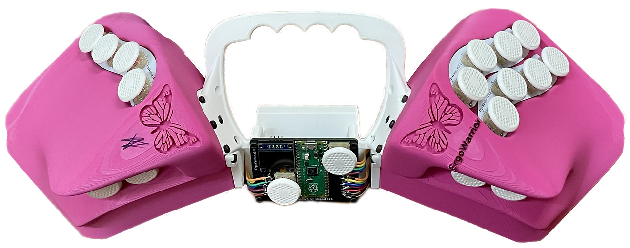 ErgoWarrior v1.0.0_fin.png