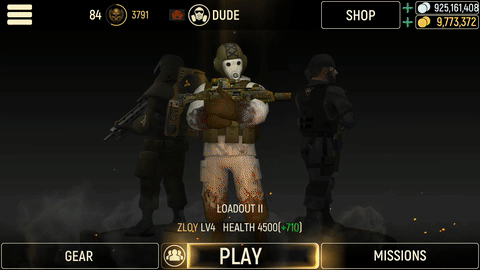 Customization.gif