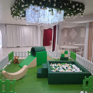 SOFT PLAY
WILD ONE BIRTHDAY 
KIDS PLAY AREA
SOFT PLAY RENTAL
