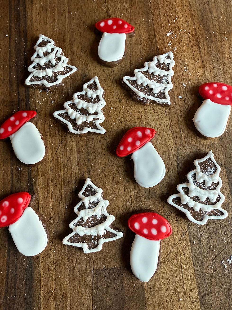 Wild spiced christmas biscuits.jpg