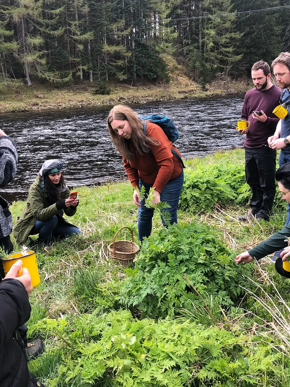 The Considerate Harvest: Reframing the Forager’s Role in Nature Stewardship.