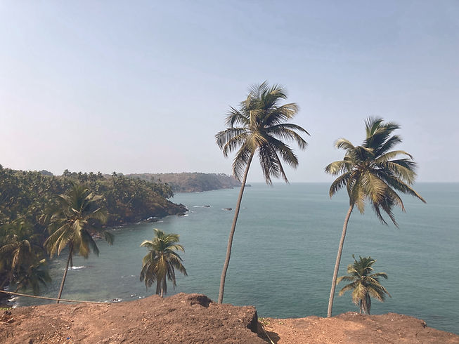 Goa vista_edited.jpg