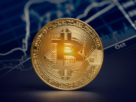 Cryptocurrencies in Charity: Examples of Projects and Initiatives Built on Them