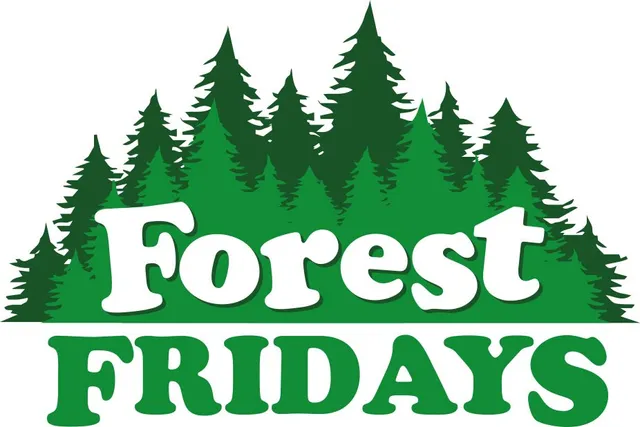 Forest Friday (Kindergarten)